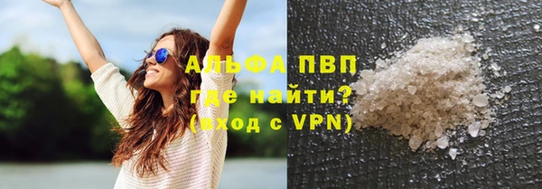 PSILOCYBIN Строитель